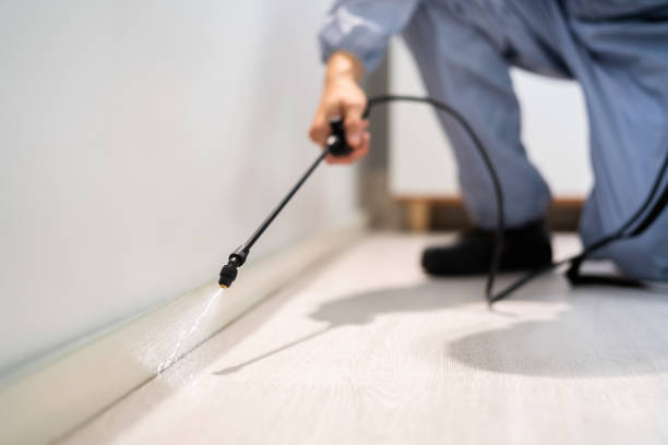 Bed Bug Pre-Treatment Preparation Assessment in Keyser