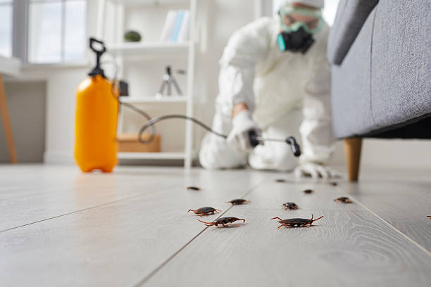 Post-Treatment Bed Bug Interceptor Monitoring in Keyser