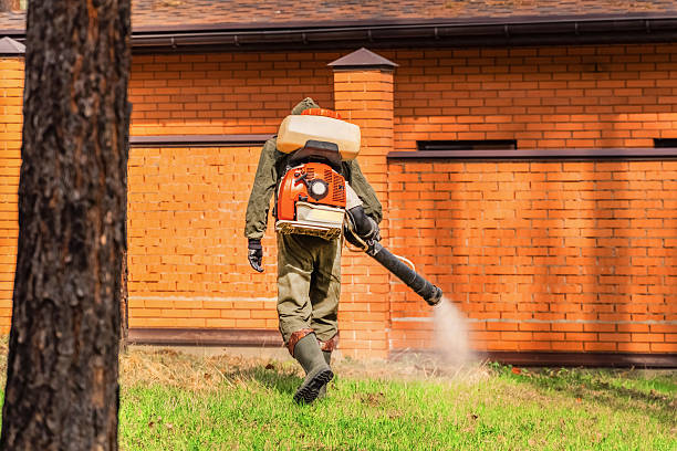 Bed Bug Clearance Verification and Documentation in Keyser
